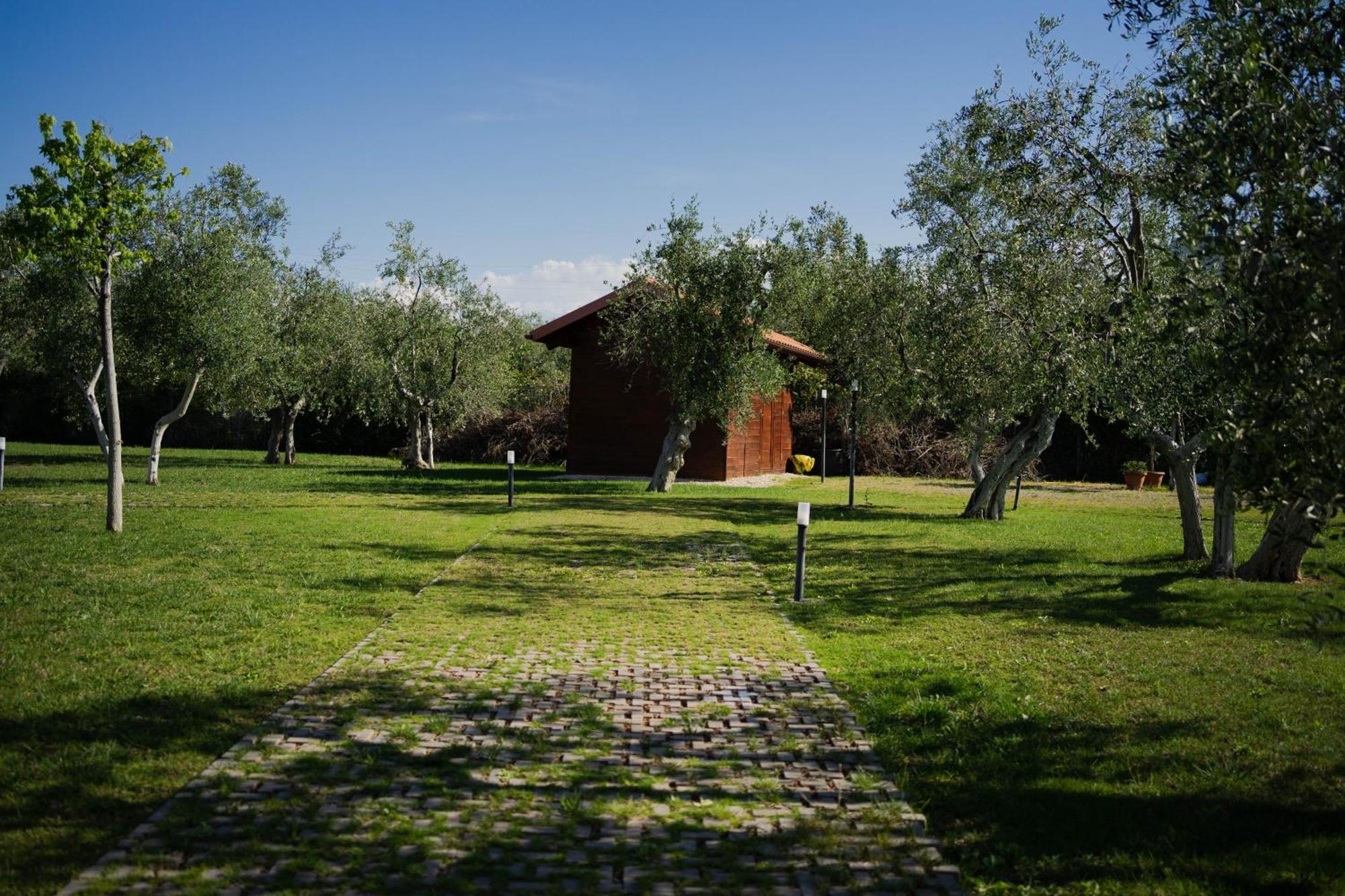 Villa Erada Bari Exteriér fotografie